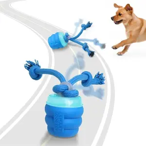 Toys with Motion