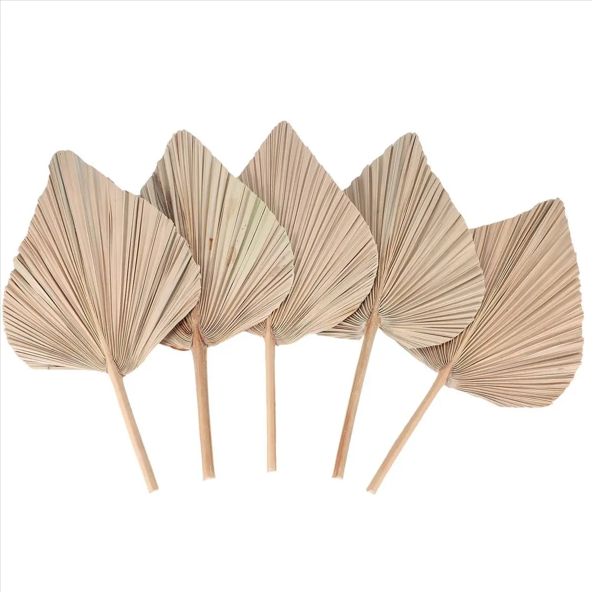 Sturdy Maintenance-Free 5-Piece Natural Palm Leaf Decor Set, 18in H x 10in W - Boho Wall Decor, Table/Room Home Accent, Wedding Flower Arrangement Gift, Five Pieces
