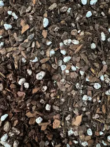Orchid & Aroid Mix #2 - CUSTOMIZABLE - (Orchiata, Perlite and Tree Fern) - Select Your Options