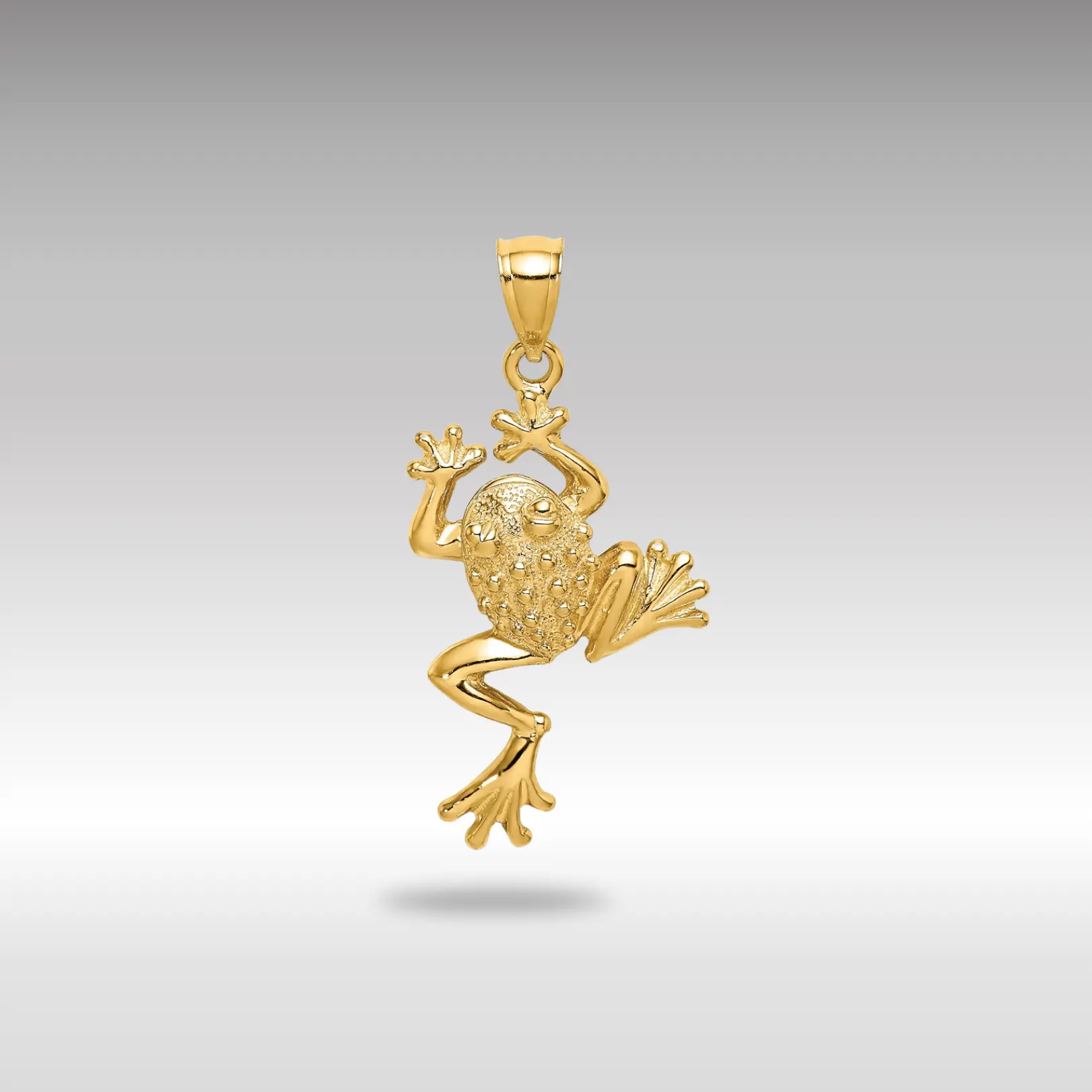 14K Gold Large Detailed Frog Pendant