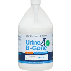 B-Gone, Professional Enzyme Odor Eliminator & Pet Stain Remover, Human,  &   Cleaner, Effective on Laundry, Carpets & More, Citrus Scent, 1 Gallon