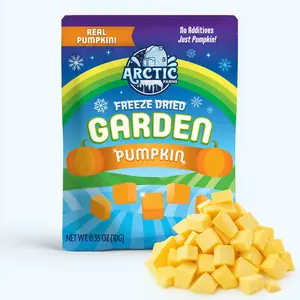 Freeze Dried Pumpkin