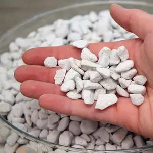 Chunky Perlite – 1 Quart | Premium Drainage & Aeration by Beth’s Roots & Shoots