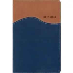 USED-NIV Gift Bible by Zondervan (Unknown)