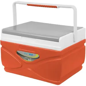 Picnic Cooler - 4.5 Liter Hard Cooler - Coolbox Keeps Contents Cool for 48 Hours -  Outdoor Cooler - Portable Cooler for Picnics, Grill, Camping (Orange)
