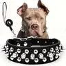 Rivet Dog Collar & Swivel Leash Set, Leash Included, Adjustable Pet Studs Collar, Durable Dog Walking Equipment, Fashionable Pet Walking Essentials, Dog Accessories Tools, Easter Gifts