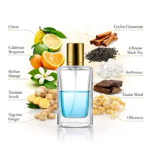 Visionaire Unisex oil- based Perfume Spray 50ml - Imagination Luxury Citrus-Tea Scent with Citron, Bergamot, Neroli & Ginger - Fresh & Clean Fragrance for Summer