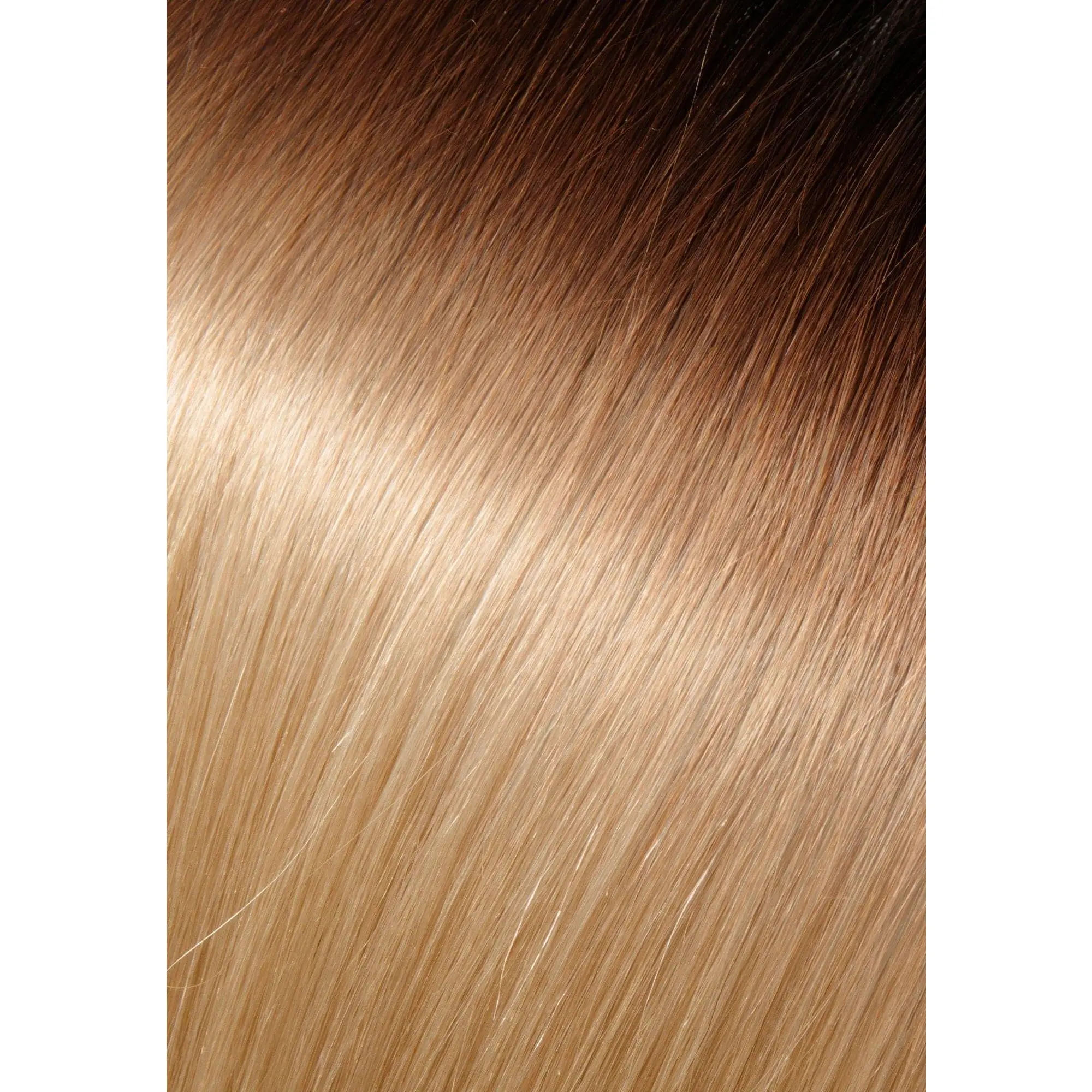 Color Swatch Ombre 4/30/613