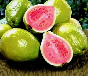 20 Lemon Apple Pink Guava Tree Fruit Seeds ‘Ruby Supreme’ Plant Psidium guajava