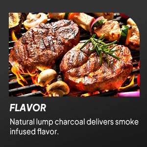 ROVSUN 1600W Tabletop Electric Grill with Temperature Control, Black 304 Stainless Steel Grill w/Double Layer Design, Portable & Removable, Small Stove for Indoor and Outdoor Use