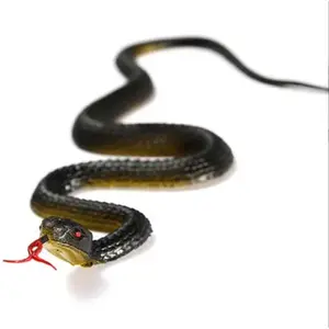 1pc Realistic Rubber Toy Snake 45cm, Lifelike Python Model, Halloween Prank Prop, Scarecrow Bird Deterrent, Joke Gag Toy Accessory