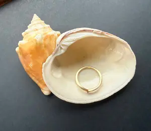 Simple Shell - Authentic Natural Shell Decor Piece for Home Decor, Minimalist Design, Enhances Ambiance with Outdoor Touch