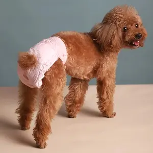 A Box of 10pcs Dog Physiological Pants Diapers Female Dog Male Dog Special Diapers Female Dog Things Pull-Up Pants