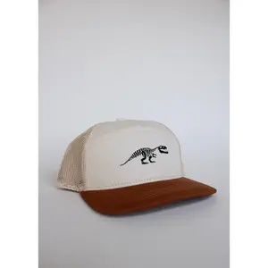 Kids Dino Trucker Hat