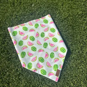 Cool As A Watermelon Dog Bandana - Fashion Neck Accessory