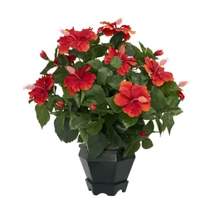 Hibiscus w/Black Hexagon Vase Silk Plant