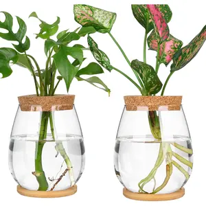 2 Pcs Propagation Vases, Tabletop Plant Terrarium for Propagating Hydroponic, Glass Terrarium Vase Jars, Home Kitchen Decorations and Gifts for Plant Lovers