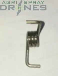 Buckle Torsion Spring