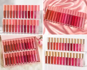 "24pcs Lip Gloss Makeup Bundle - Cute Beauty Set."