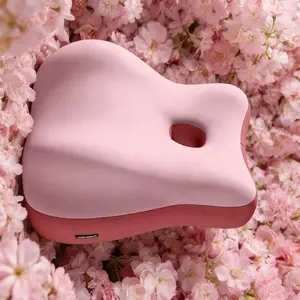 Ergonomic Office Back Support Cushion with Armrests – Upright Sitting Posture Pillow