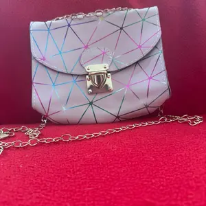 Shooting star purse