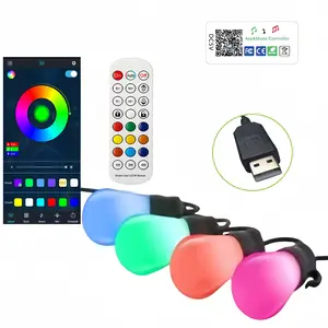 1PC，Smart Outdoor String Light, USB Rechargeable Rgbw LED, APP & Remote Control, 4000mah Battery, Adjustable Color, 20 Bulbs, Garden Decor