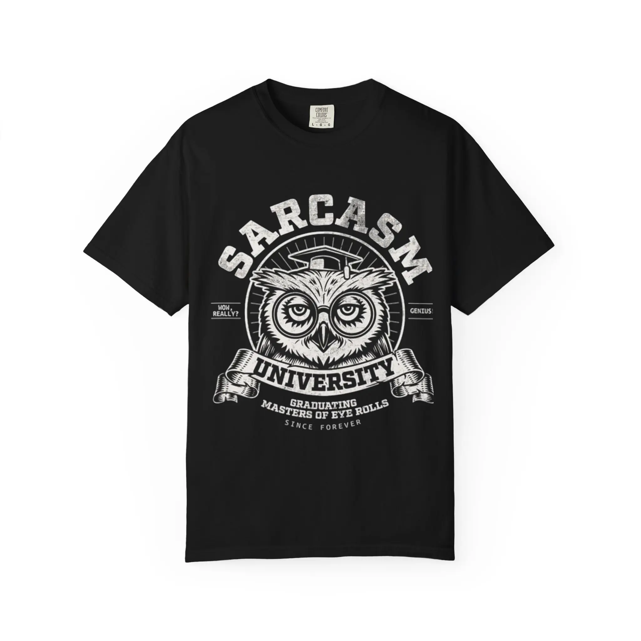 Sarcasm University Owl T-Shirt | Vintage College Owl Tee
