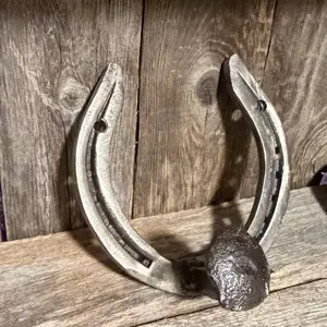 Rustic Horseshoe Wall Hook