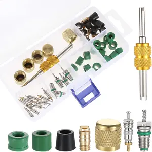 56PCS Air Conditioning Valve Core Kit Including R134a R22 R410 Valve Core, Hose Gaskets, Valve, Brass Nut, Valve Core Remover Installer, A/C Valve Core Assortment Set Kit for Most Cars