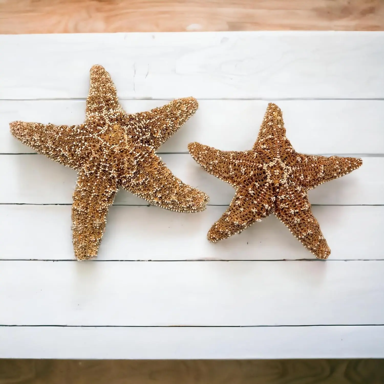 Real Starfish Decor - 2 count - 4" - 6" Large Starfish for Crafts, Beach House Decor, Christmas Ornaments & Nautical Decorations