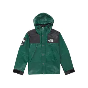 Supreme The North Face Leather Mountain Parka Dark Green