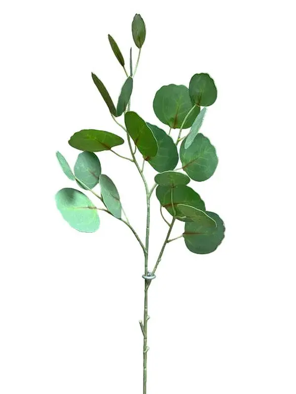 Silver Dollar Eucalyptus Spray
