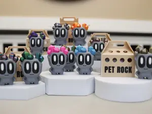 3D Printed -  6 Piece Collection Pet Rock Figurine with Box
