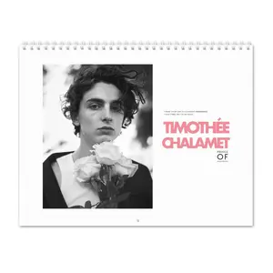 Timothée Chalamet 2025 Wall Calendar Planner, Timothée Chalamet 2025 Calendar, Timothée Chalamet Merch, Wall Calendar2025, 2025 Monthly Planner