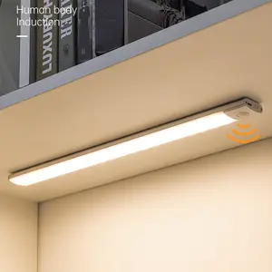 LED Motion Sensor Cabinet Light Under Cabinet Closet Light, Led Strip Light for Kitchen,Closet,Hallway&Garage,Wall Mounted LED Lights,Home Essentials 20/30/40CM Two-Piece