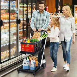 Foldable Shopping Cart, 2-Tier Collapsible Grocery Cart with Wheels, Portable Aluminum Shopping Trolley with Removable Storage Crate, Folding Utility Cart for Travel, Apartment, Office