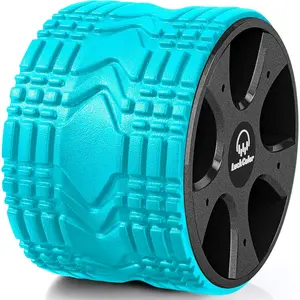 Back Roller, Back Wheel Targeted Back Pain Relief, Yoga Wheel Muscle Massage, Foam Roller for Trigger Point Therapy Physical, Stretching & Exercise, 880lbs Capacity, 10 Inch (Acid Blue+Grey)