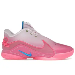 Nike Men's LeBron 22 I Promise, from StockX