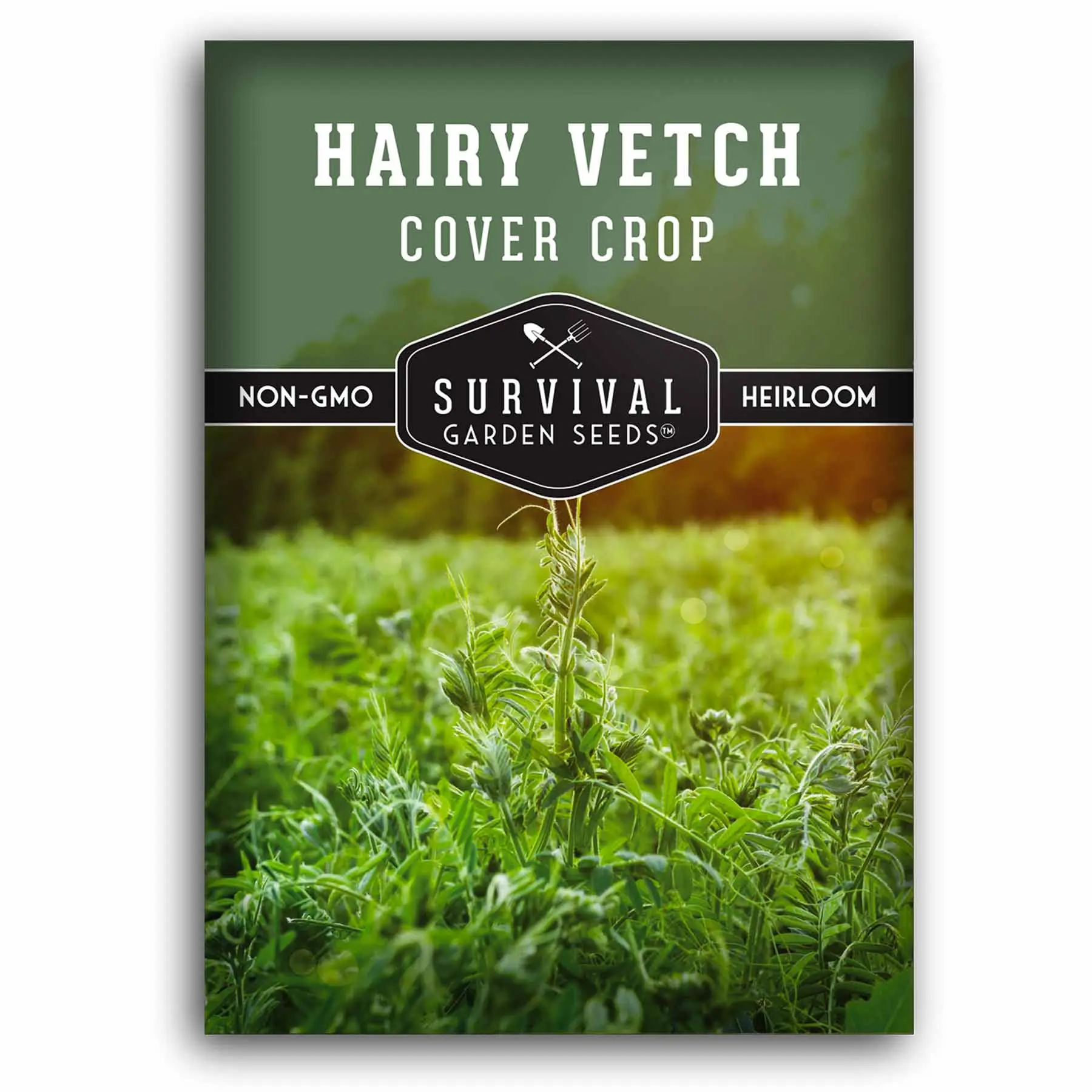 Hairy Vetch Seeds - Cover Crop Hairy Vetch Seeds - Cover Crop
