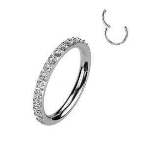 18 Gauge Grade 23 Solid Titanium Hinged Segment Hoop Ring With Outward Facing Pave CNC Set CZ