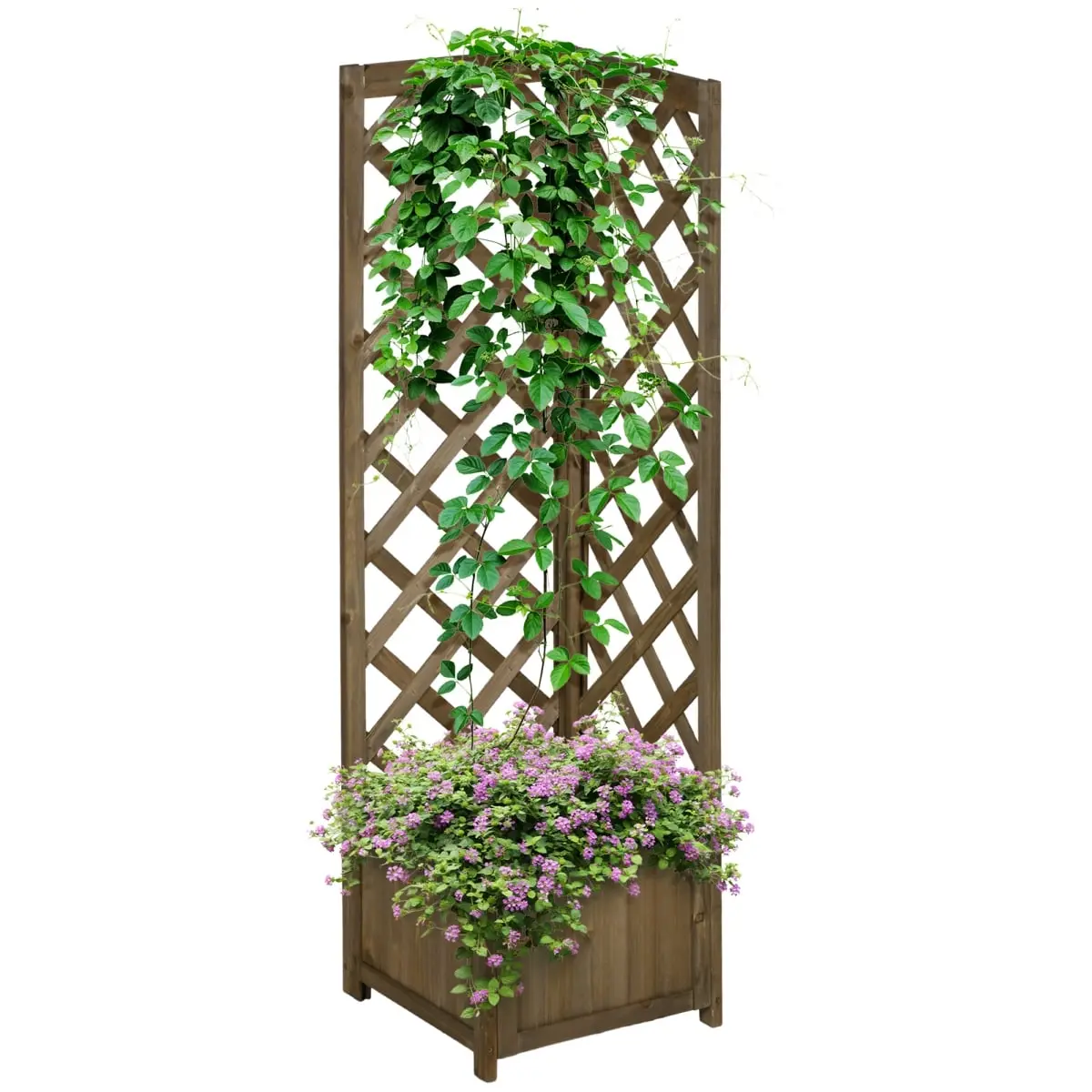 212 Main 845-776V00TN Outsunny Wooden Raised Garden Bed, Planter with Trellis for Vine Climbing & Vegetables, Herbs & Flowers Growing, Carbonized