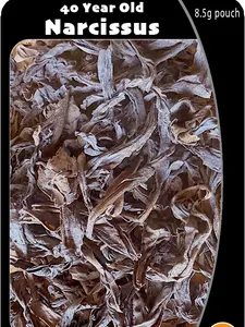 40 Year Old Narcissus Trade-In Card