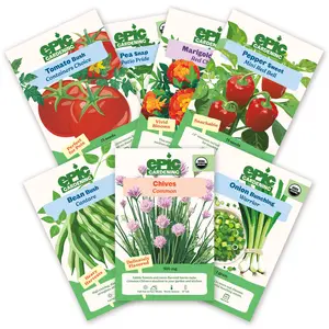 Beginner Patio Garden Bundle