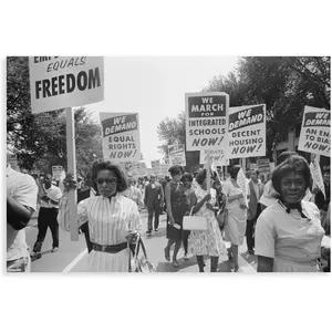 Civil Rights Black History Activist Vintage Feminist Poster Canvas Wall Art Home Wall Decor Bedroom Aesthetic Art Prints Posters Decorations