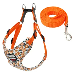Pet Leash Dog Harness & Leash , Cute Small Dog Harness & Leash Set, Soft Adjustable No-Choke Pet Vest, Escape-Proof Breathable Mesh Harness for Small Dogs & Cats