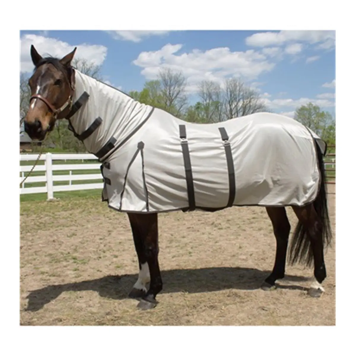 Jacks 4302-78 78 in. Nylon Mesh Fabric Barn Turnout Fly Sheet for Horses, Breathable Design, Secure Straps, Belly Guard, 2 Straight Belly Surcingles, Adjustable Strap, Horsewear & Bandaging, Two Straight Belly Surcingles