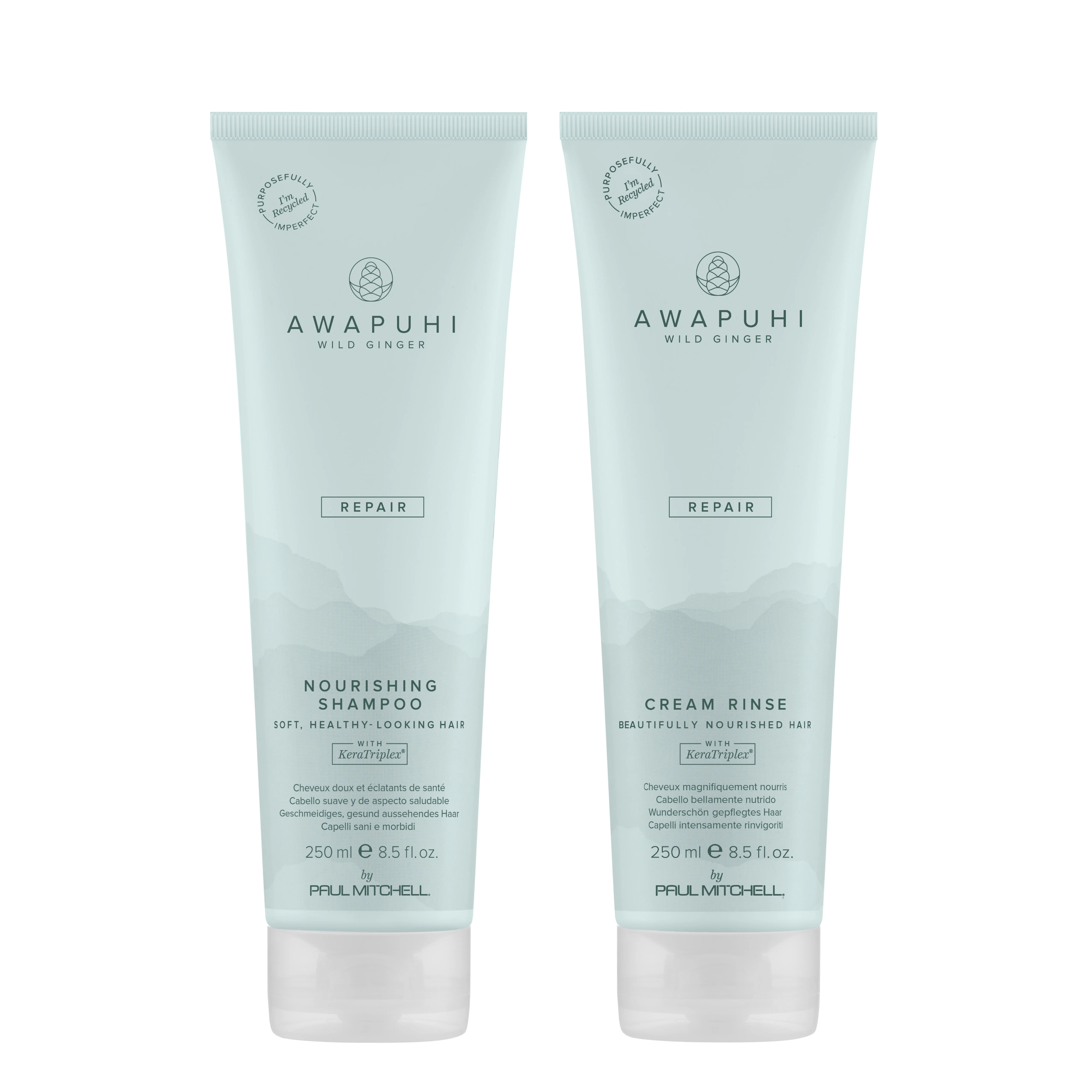 Silky Repair Duo