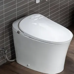 WOODBRIDGE LT610 One Piece Elongated Smart Toilet Bidet with Massage Washing, Auto Open and Close Seat and Lid, Auto Flush, Heated Seat and Integrated Multi Function Remote Control, White
