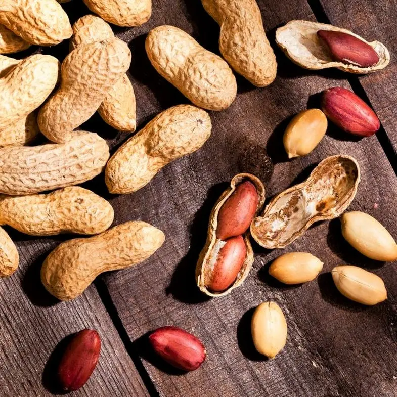 TomorrowSeeds - Jumbo Bailey Virginia Peanut Seeds -  For Planting Top Producer Groundnut Goober Monkey Nut Garden Vegetable Seed Fresh 2024