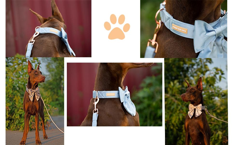 Unique style paws Silk Adjustable Durable Dog Collar with Bow Wedding Bowtie Collar for Small to Large  Dogs summervibes